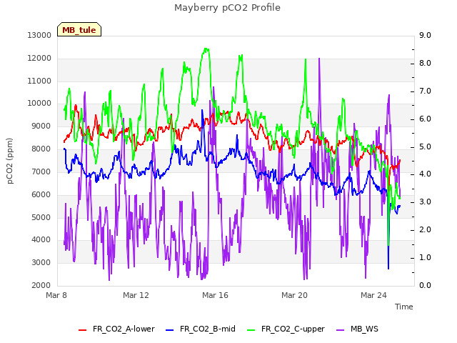 Explore the graph:Mayberry pCO2 Profile in a new window