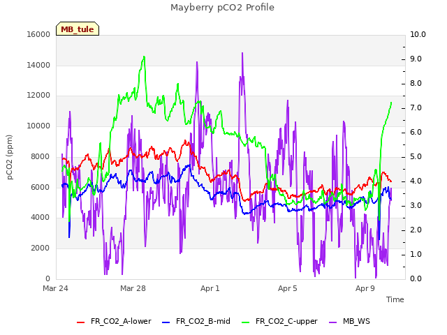 Explore the graph:Mayberry pCO2 Profile in a new window