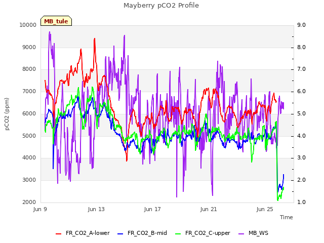 Explore the graph:Mayberry pCO2 Profile in a new window