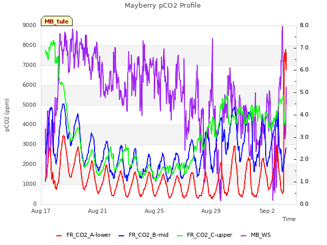 Explore the graph:Mayberry pCO2 Profile in a new window