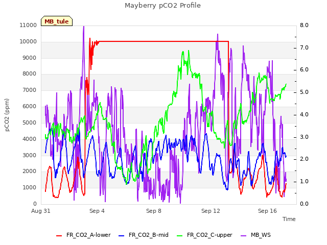 Explore the graph:Mayberry pCO2 Profile in a new window