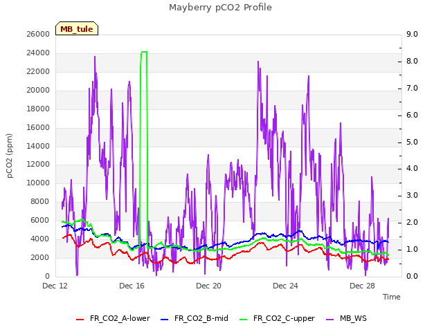 Explore the graph:Mayberry pCO2 Profile in a new window