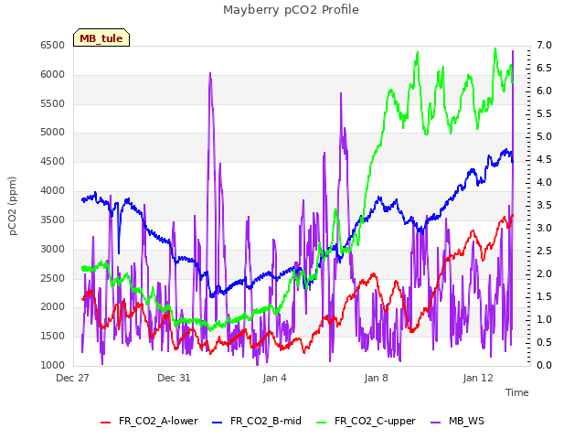 Explore the graph:Mayberry pCO2 Profile in a new window