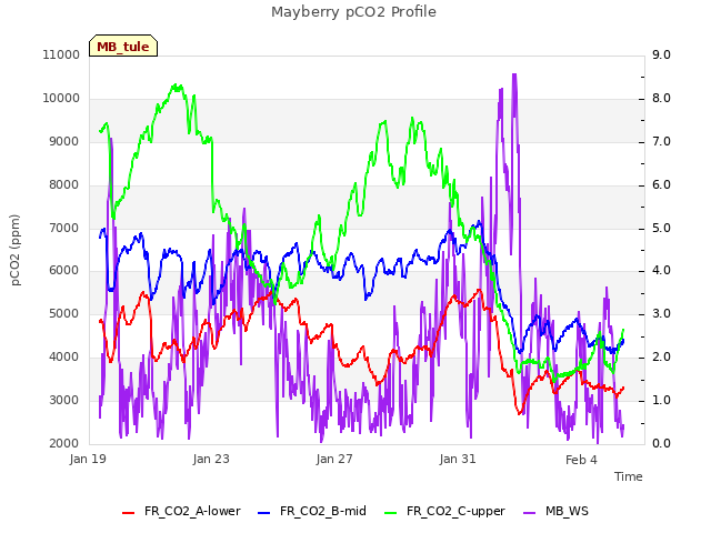 Explore the graph:Mayberry pCO2 Profile in a new window