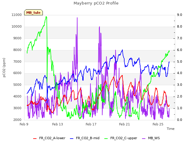 Explore the graph:Mayberry pCO2 Profile in a new window