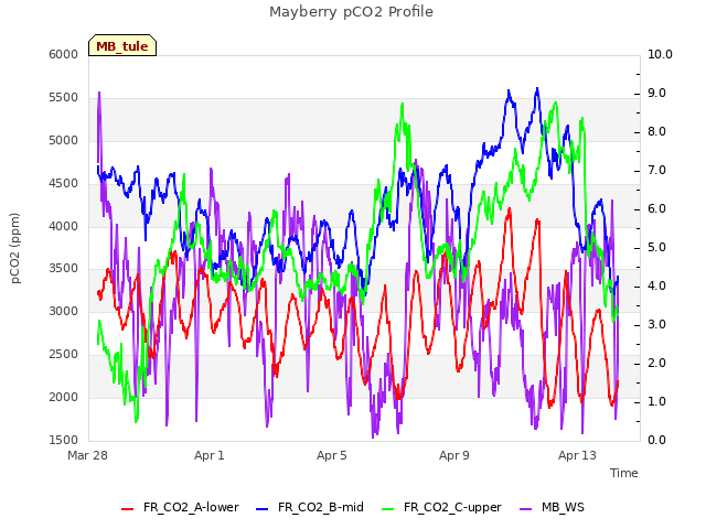 Explore the graph:Mayberry pCO2 Profile in a new window