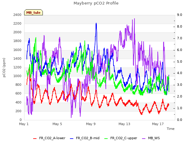Explore the graph:Mayberry pCO2 Profile in a new window