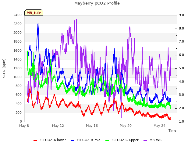 Explore the graph:Mayberry pCO2 Profile in a new window