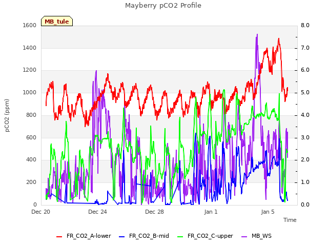 Explore the graph:Mayberry pCO2 Profile in a new window