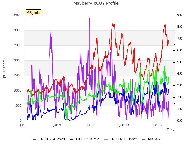 Explore the graph:Mayberry pCO2 Profile in a new window