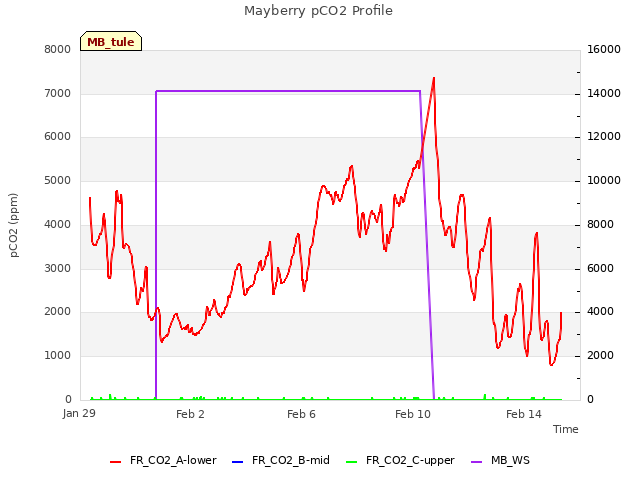 Explore the graph:Mayberry pCO2 Profile in a new window