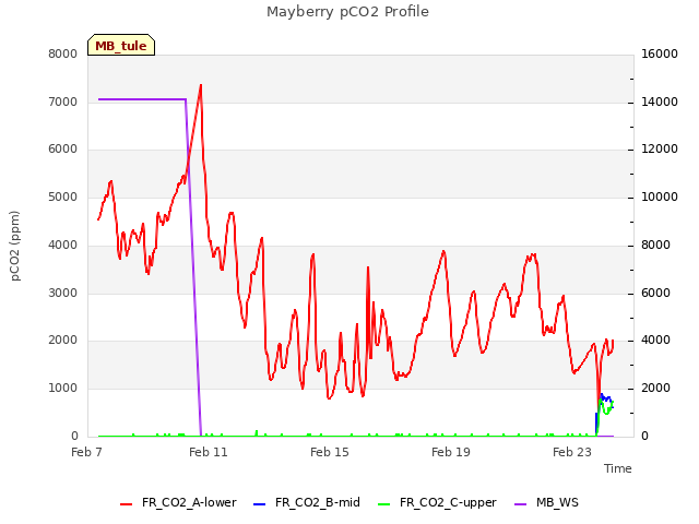 Explore the graph:Mayberry pCO2 Profile in a new window