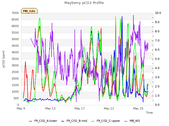 Explore the graph:Mayberry pCO2 Profile in a new window
