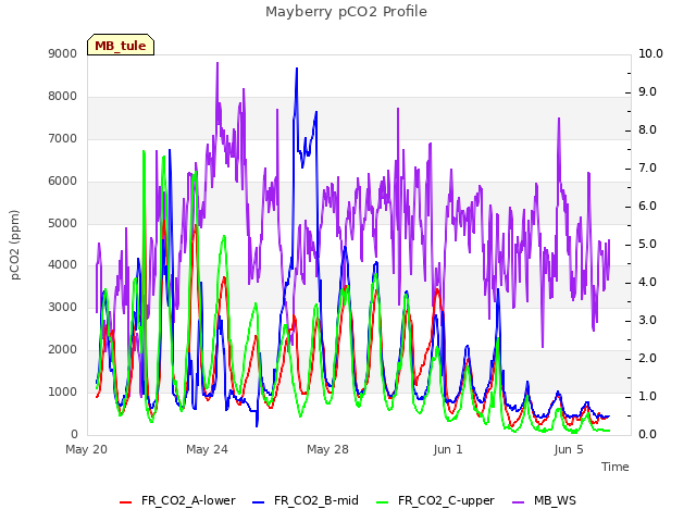 Explore the graph:Mayberry pCO2 Profile in a new window