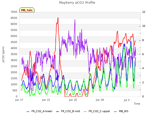 Explore the graph:Mayberry pCO2 Profile in a new window