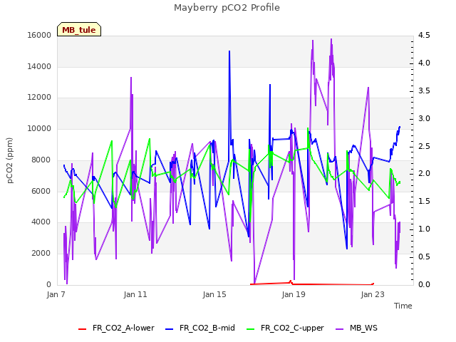 Explore the graph:Mayberry pCO2 Profile in a new window