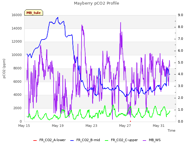 Explore the graph:Mayberry pCO2 Profile in a new window