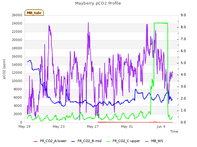 Explore the graph:Mayberry pCO2 Profile in a new window