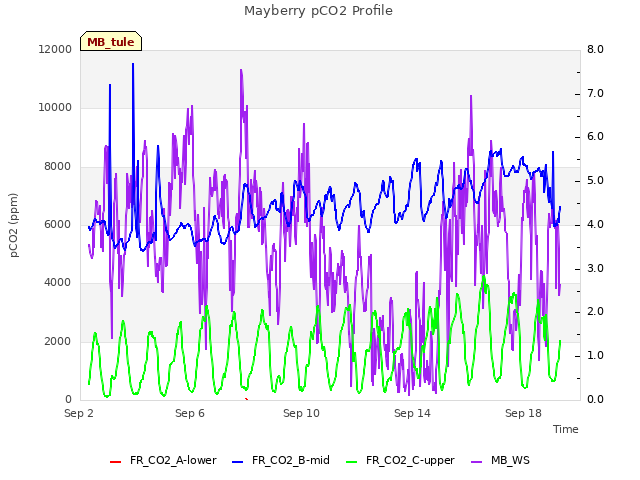 Explore the graph:Mayberry pCO2 Profile in a new window