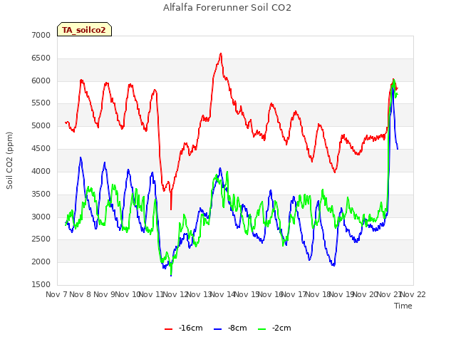 plot of Alfalfa Forerunner Soil CO2