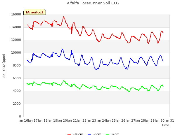 plot of Alfalfa Forerunner Soil CO2