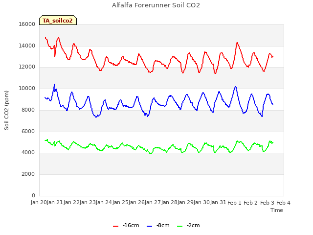 plot of Alfalfa Forerunner Soil CO2