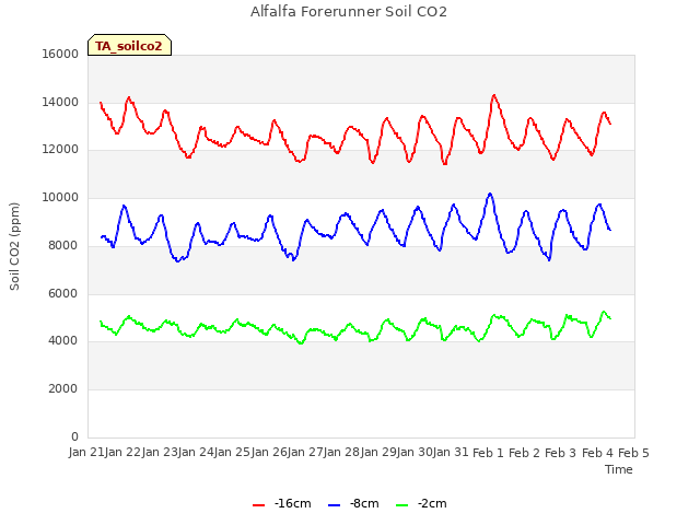 plot of Alfalfa Forerunner Soil CO2