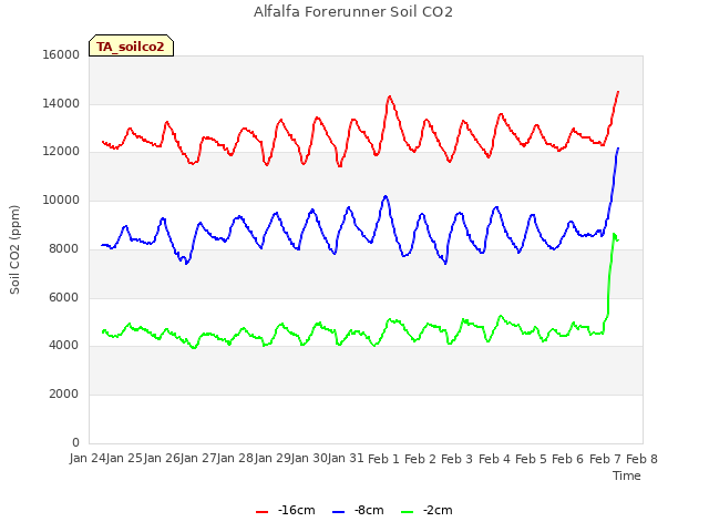 plot of Alfalfa Forerunner Soil CO2