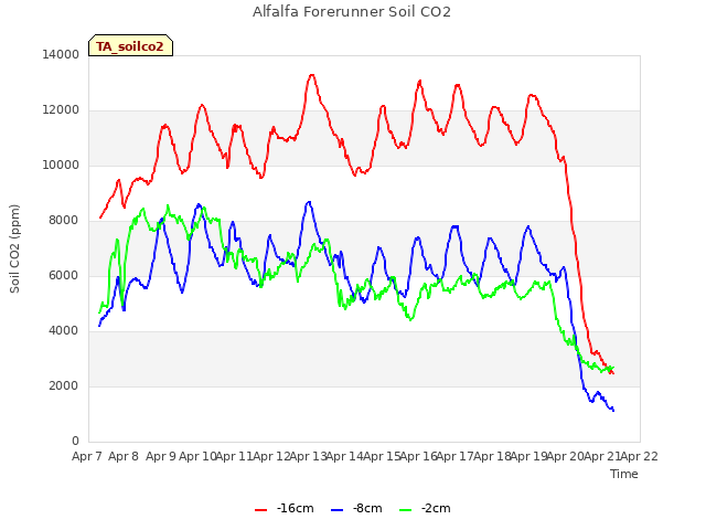 plot of Alfalfa Forerunner Soil CO2