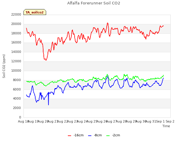 plot of Alfalfa Forerunner Soil CO2