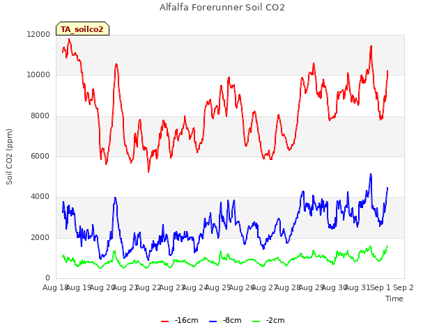 plot of Alfalfa Forerunner Soil CO2