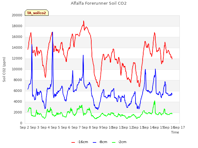 plot of Alfalfa Forerunner Soil CO2
