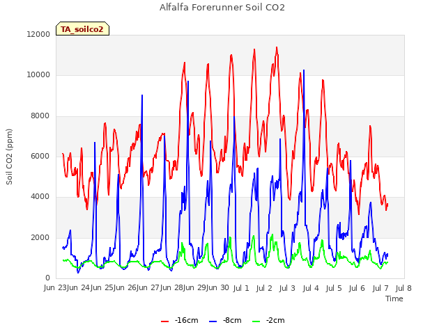 plot of Alfalfa Forerunner Soil CO2