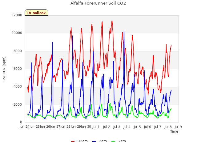 plot of Alfalfa Forerunner Soil CO2