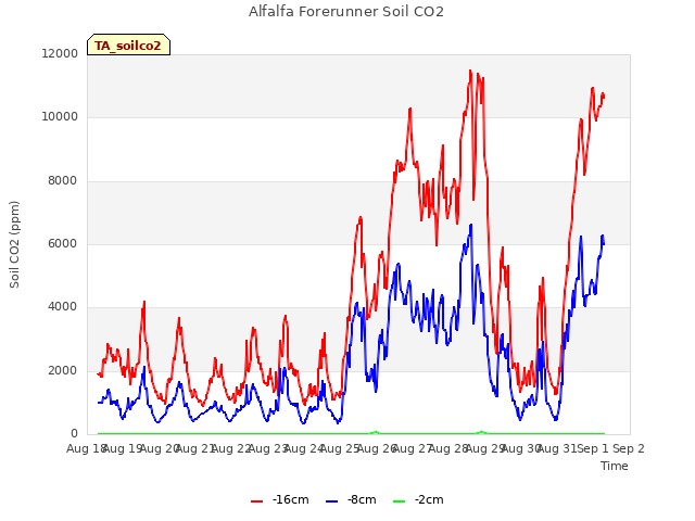 plot of Alfalfa Forerunner Soil CO2