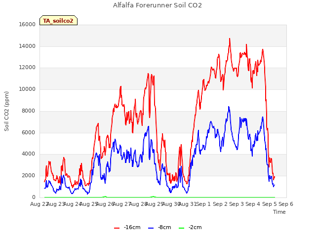 plot of Alfalfa Forerunner Soil CO2