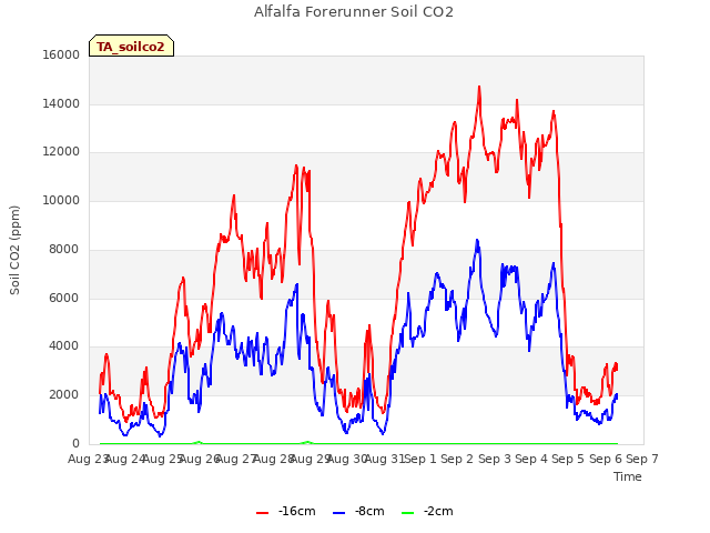 plot of Alfalfa Forerunner Soil CO2