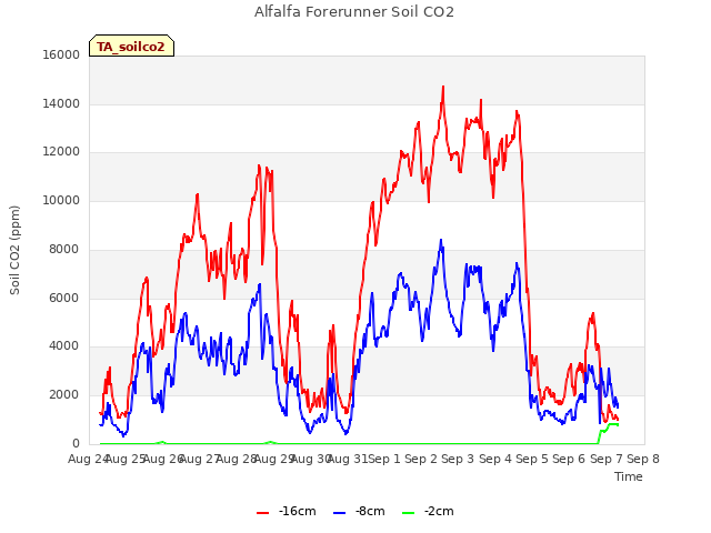 plot of Alfalfa Forerunner Soil CO2