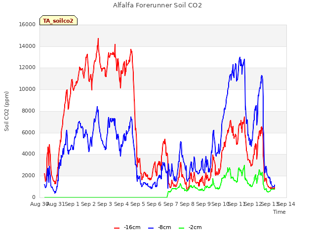 plot of Alfalfa Forerunner Soil CO2