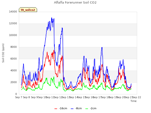 plot of Alfalfa Forerunner Soil CO2