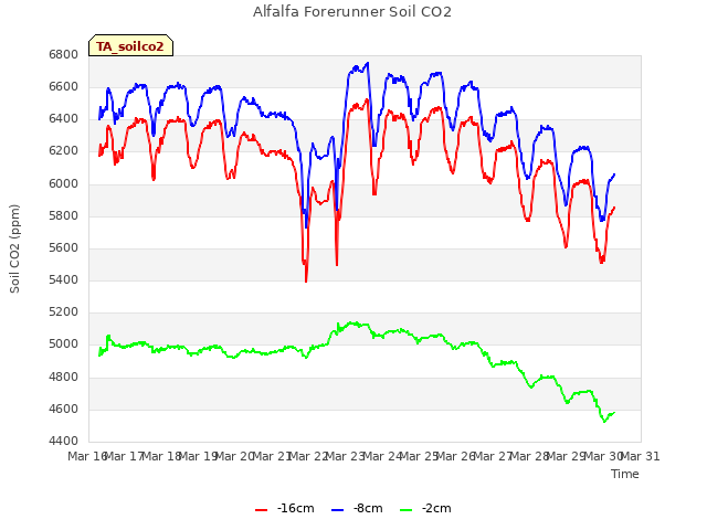 plot of Alfalfa Forerunner Soil CO2