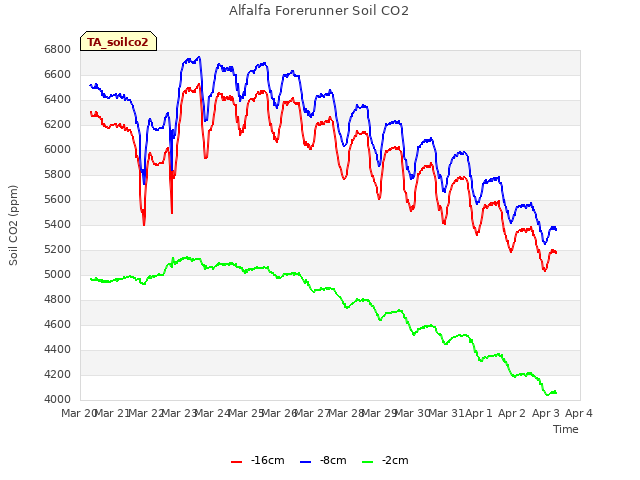 plot of Alfalfa Forerunner Soil CO2