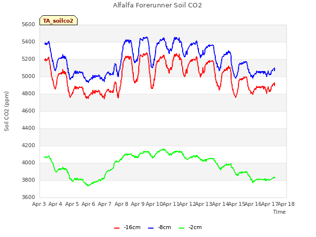 plot of Alfalfa Forerunner Soil CO2