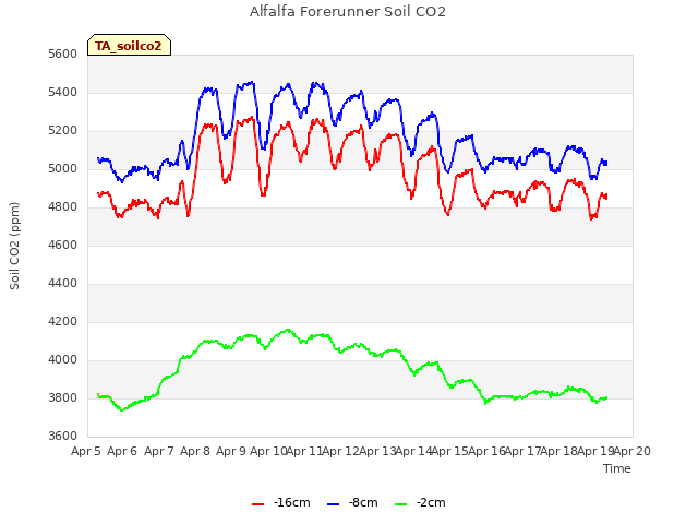 plot of Alfalfa Forerunner Soil CO2