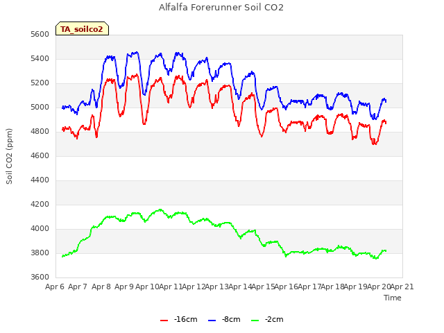 plot of Alfalfa Forerunner Soil CO2