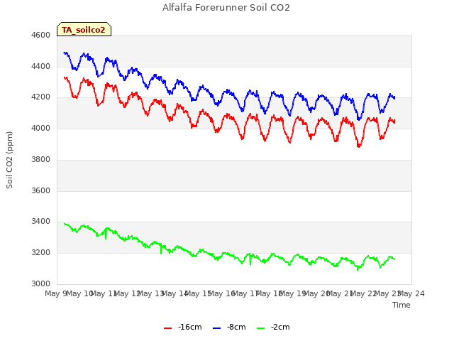 plot of Alfalfa Forerunner Soil CO2