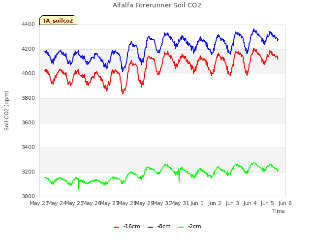 plot of Alfalfa Forerunner Soil CO2