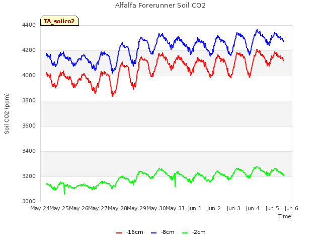 plot of Alfalfa Forerunner Soil CO2