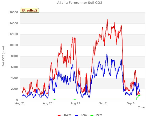 Alfalfa Forerunner Soil CO2