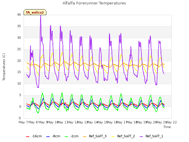 plot of Alfalfa Forerunner Temperatures